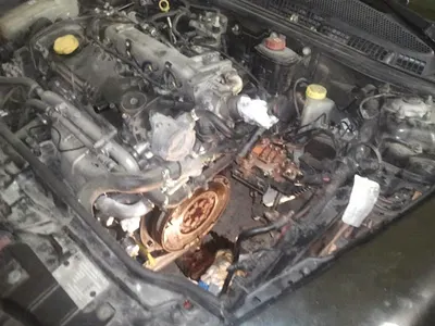 Moto-Elektro Dawid Ozgowicz